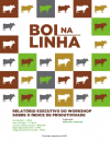 Report of the Workshop Productivity Index (in Portuguese)