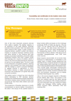 INFO BRIEF Nº. 4 - TRACEABILITY AND CERTIFICATION IN THE LEATHER VALUE CHAIN