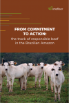 From Commitment to Action: the track of responsible beef in the Brazilian Amazon (Imaflora, 2021)