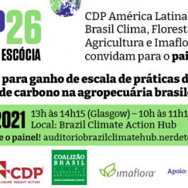 COP-26: Painel apresenta soluções para agropecuária de baixo carbono