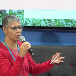 Painel na COP-26 debate soluções para a baixa emissão de carbono na agropecuária